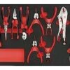 Teng TTEMB11 11 Piece Plier Set In Foam Module